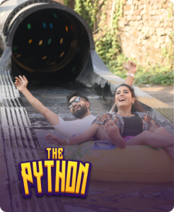 the Python
